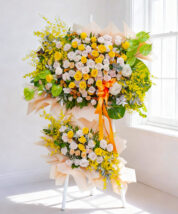 Khởi sắc thành công - 11033