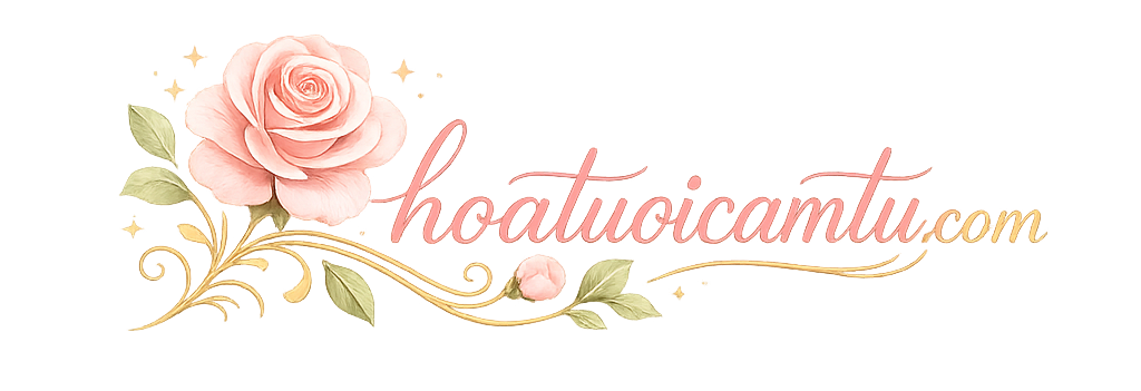 Hoa Tươi Cẩm tú