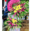 Hoa Viếng - Hoa Chia Buồn V3